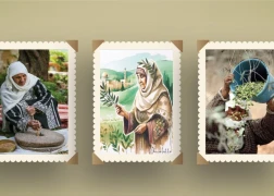 موسم الزيتون في فلسطين