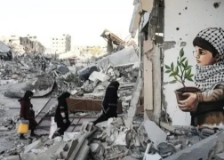 وقف إطلاق النار في غزة