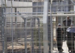 الأسيرات المحررات