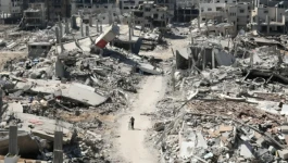 الفقد في غزة