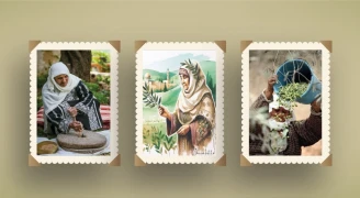 موسم الزيتون في فلسطين