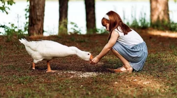 فوائد تربية الحيوانات الأليفة