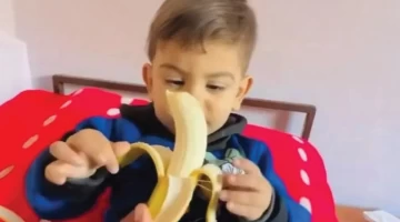 حرب التجويع في غزة
