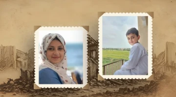 عدد النساء الشهيدات في غزة