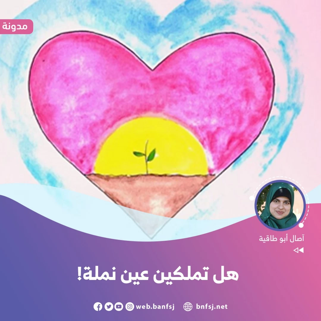 مدونة-فيس.jpg