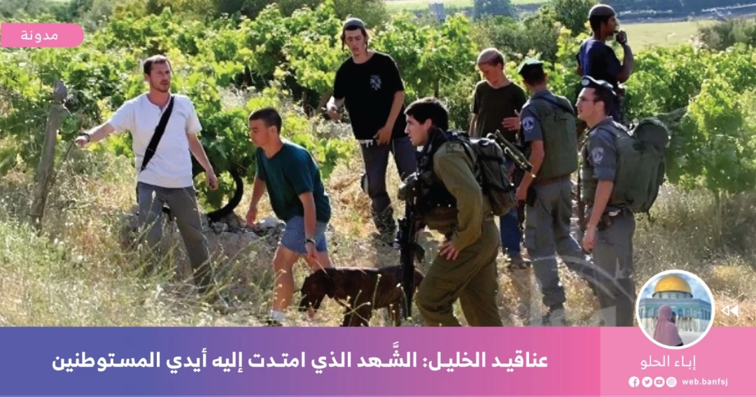 الاستيطان في الخليل