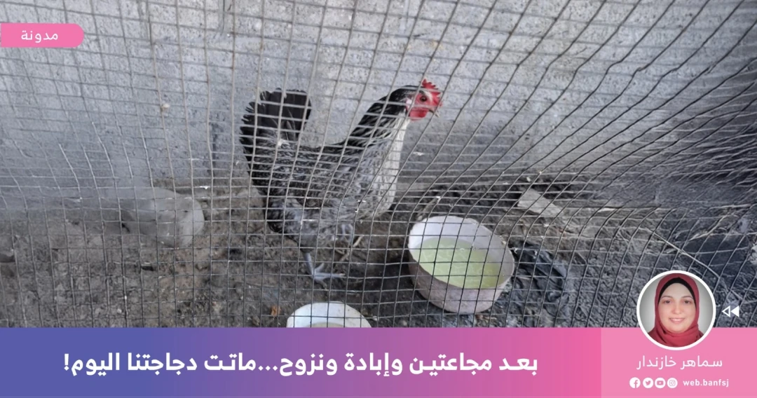 التجويع في غزة