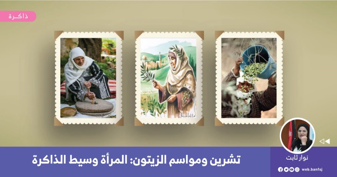 موسم الزيتون في فلسطين