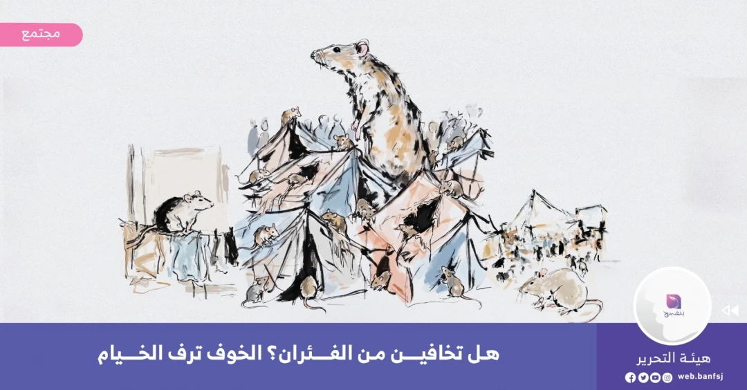 معاناة القوارض في غزة