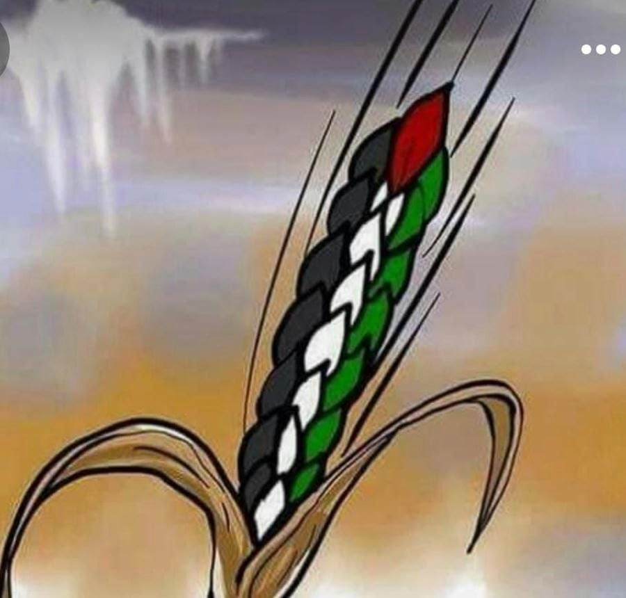 فلسطين في الذاكرة