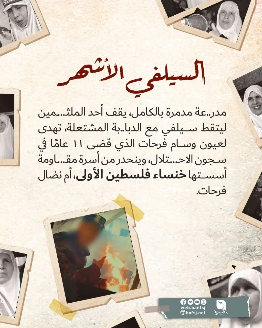 السيفي الأشهر.jpg