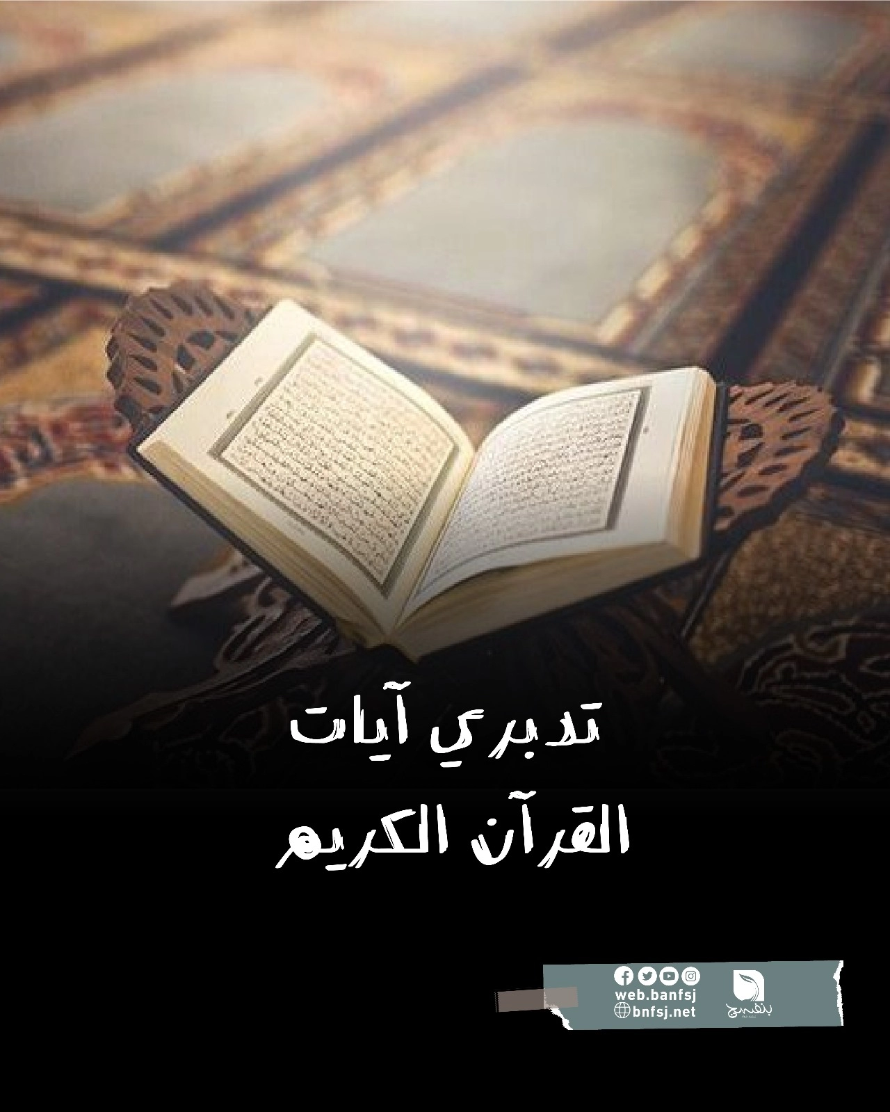 تدبر القرآن.jpg