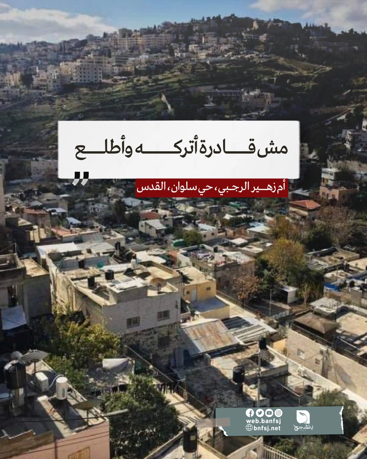 سرقة بيوت حي سلوان.jpg