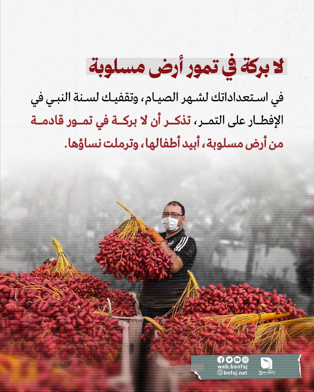 ادعم التمور الفلسطينية